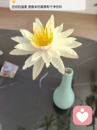 請(qǐng)學(xué)會(huì)自我暗示，自己有意識(shí)給自己鼓勵(lì)、認(rèn)同、關(guān)注和信任。這個(gè)世界，自己不給自己暗示，就等著外界無處不在的催眠你。配圖