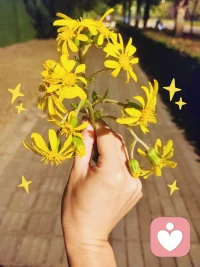 去歌唱吧，為這束大自然的饋贈?配圖