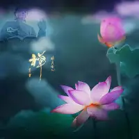 每日一課:心理和靈魂為何一體同源？
心理學psychology，來自于古羅馬神話中的靈魂女神“Psyche”——賽姬女神，掌管靈魂psyche。所以心理疾病，必然靈魂出了問題。配圖