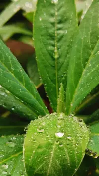 秋意浓，情深邃❤️
愿你出走半生，归来仍是少年。
愿你风霜雨雪，依旧纯洁无暇。
爱你所爱，做你所爱，活出你爱的模样❤️配图