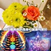 心灵疗愈师晶晶子