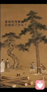 直木成才，曲木成景，木以不才得终其天年，人以无争可全其身！配图