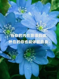 恐懼和傷痛是偉大的導(dǎo)師，只要我們學(xué)會如何與之相處配圖