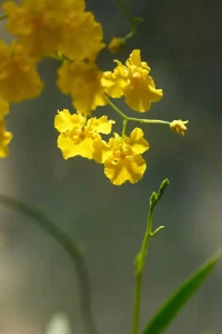 就算被養(yǎng)廢的孩子，依然有可能逆襲，成為人生贏家。配圖