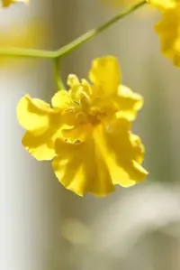你認(rèn)為自己是誰(shuí)，便會(huì)成為誰(shuí)配圖