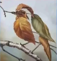 这个心理测试能测出你是不是很快就能走出困境？
上图中你第一眼看到的是什么？
 A :小鸟
 B :树枝树叶