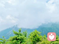 每個人都會有一段異常艱難的時光，挺過來的，人生就會豁然開朗；挺不過來的，時間也會教你，怎么與它們握手言和，所以不必害怕。新的一天，平安喜樂，所愿皆成。配圖