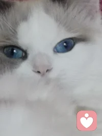 如何順利的破壞一段關系：改變對方，以符合自己的預期；控制對方，以滿足自己的欲望；教育對方，以滿足自己的自戀；討好對方，獲得看似“和睦的關系”配圖