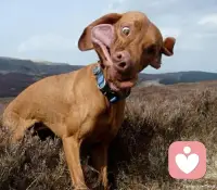 稻盛和夫先生的一段話，說出婚姻的一個真相，值得身處其中的人深思——“如果你和你老公三觀不合，那你把他當(dāng)普通朋友就可以了。如果你選錯了婚姻，那你一定要選擇一個正確的生活方式。你不要總是想著去改變他，刻在骨子里的教養(yǎng)是改變不了的，不要去自尋煩惱。”很多婚姻中的人，都想讓對方為自己改變，這是自戀，也是癡心妄想。“改變自己是神，改變別人是神經(jīng)病。”即使知道，卻難做到，總認(rèn)為自己是例外。“迷之自信”，體現(xiàn)在很多人身上。配圖