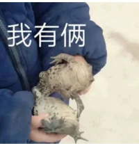 最近我在平臺遇到了這樣一類來訪者，她們的困擾和問題都是一些比較常見的情感困擾、家庭關(guān)系類的問題，本身不屬于難解決處理的，但是她們卻被不少傾聽師拉黑！這個現(xiàn)象最開始讓我感到很疑惑。可是隨著后來和她們的幾次接觸，我發(fā)現(xiàn)了問題所在。首先她們在找到我時，會開誠布公的說出她們的問題和困擾，希望得到解決的辦法。
       咨詢師助人的職業(yè)習慣也使得我會共情到她們的處境里，開始去思考她們現(xiàn)在面臨的困擾背后隱藏的真實需求和潛在動機究竟是什么？咨詢工作是咨詢師幫助并陪伴來訪者，在安全、接納、共情的環(huán)境里，一起走過人生這段黑暗的迷谷，找到屬于自己的資源和力量，有勇氣去解決自己的現(xiàn)實困難，從而讓自己成長的這樣一個過程。一段咨詢關(guān)系的建立，是需要來訪者者能夠充分的信任咨詢師，兩者共同努力共同構(gòu)建才能完成。    
       可是當我提醒她可以下單，一起形成合作契約關(guān)系時，我發(fā)現(xiàn)她們會找尋各種理由婉拒推脫。一開始我以為是她們并不認可我，這個很正常。但是后來她們并沒有停止對我的詢問和求助，似乎依然很迫切的需要我給出一個答案和建議。在線上較長時間的無我進行文字溝通。同時我也覺察到，她似乎同時也在向別的咨詢師尋求幫助和咨詢。這就仿佛她正置身于鬧市區(qū)，聽著大家七嘴八舌為她的事情出謀劃策。發(fā)現(xiàn)這一點時，我就突然理解了她為什么被很多咨詢師拉黑的原因。
       來訪者選擇一個自己認可的咨詢師下單，本身意味著對自己問題的重視和對咨詢師的信任。但這種只一味咨詢卻不付費的行為，一方面是不尊重咨詢師的時間和勞動，另一方面隱藏的內(nèi)在心理是她認為咨詢師不值得信任，所以她不需要為咨詢師的勞動付出相應(yīng)的金錢。同時也隱含著來訪者認為自己的問題并不夠重要，所以也不值得自己花費一定的金錢來解決這個問題。那么在沒有契約關(guān)系，也沒有足夠尊重和信任的情況下，咨詢師給的任何建議都不會起到作用。對雙方的時間只是一種浪費。          
       這類喜歡在“廣場上”聽取各類意見的求助者，沒有深入探究自己問題的真正動力，她們只想找到一條免費的捷徑，快速的解決自己當下的問題。所以，個人成長基本很難實現(xiàn)。至于當下的問題能不能解決？原本就是因為彷徨才尋求幫助，現(xiàn)在在聽到這么多的各種觀點、建議以后，希望她們不會再陷入到新的認知混亂里，更加舉棋不定。配圖