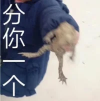 最近我在平臺遇到了這樣一類來訪者，她們的困擾和問題都是一些比較常見的情感困擾、家庭關(guān)系類的問題，本身不屬于難解決處理的，但是她們卻被不少傾聽師拉黑！這個現(xiàn)象最開始讓我感到很疑惑。可是隨著后來和她們的幾次接觸，我發(fā)現(xiàn)了問題所在。首先她們在找到我時，會開誠布公的說出她們的問題和困擾，希望得到解決的辦法。
       咨詢師助人的職業(yè)習慣也使得我會共情到她們的處境里，開始去思考她們現(xiàn)在面臨的困擾背后隱藏的真實需求和潛在動機究竟是什么？咨詢工作是咨詢師幫助并陪伴來訪者，在安全、接納、共情的環(huán)境里，一起走過人生這段黑暗的迷谷，找到屬于自己的資源和力量，有勇氣去解決自己的現(xiàn)實困難，從而讓自己成長的這樣一個過程。一段咨詢關(guān)系的建立，是需要來訪者者能夠充分的信任咨詢師，兩者共同努力共同構(gòu)建才能完成。    
       可是當我提醒她可以下單，一起形成合作契約關(guān)系時，我發(fā)現(xiàn)她們會找尋各種理由婉拒推脫。一開始我以為是她們并不認可我，這個很正常。但是后來她們并沒有停止對我的詢問和求助，似乎依然很迫切的需要我給出一個答案和建議。在線上較長時間的無我進行文字溝通。同時我也覺察到，她似乎同時也在向別的咨詢師尋求幫助和咨詢。這就仿佛她正置身于鬧市區(qū)，聽著大家七嘴八舌為她的事情出謀劃策。發(fā)現(xiàn)這一點時，我就突然理解了她為什么被很多咨詢師拉黑的原因。
       來訪者選擇一個自己認可的咨詢師下單，本身意味著對自己問題的重視和對咨詢師的信任。但這種只一味咨詢卻不付費的行為，一方面是不尊重咨詢師的時間和勞動，另一方面隱藏的內(nèi)在心理是她認為咨詢師不值得信任，所以她不需要為咨詢師的勞動付出相應(yīng)的金錢。同時也隱含著來訪者認為自己的問題并不夠重要，所以也不值得自己花費一定的金錢來解決這個問題。那么在沒有契約關(guān)系，也沒有足夠尊重和信任的情況下，咨詢師給的任何建議都不會起到作用。對雙方的時間只是一種浪費。          
       這類喜歡在“廣場上”聽取各類意見的求助者，沒有深入探究自己問題的真正動力，她們只想找到一條免費的捷徑，快速的解決自己當下的問題。所以，個人成長基本很難實現(xiàn)。至于當下的問題能不能解決？原本就是因為彷徨才尋求幫助，現(xiàn)在在聽到這么多的各種觀點、建議以后，希望她們不會再陷入到新的認知混亂里，更加舉棋不定。配圖