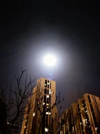 哭著鬧著，說要走的，其實只是希望有人能主動的挽留她/他。真正的離開，往往都是悄無聲息的，就像某一天早上，她/他一如既往的離開了家，輕輕的關(guān)上了門，只是，再也沒回來。配圖