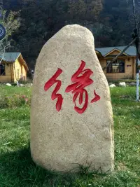 緣是前世修來的因果，于是，相識是緣至，相忘是緣散。??????配圖