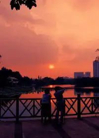 夕陽無限好。。。配圖