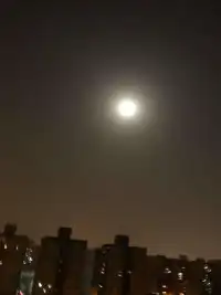 年齡大了，懂的多了，看透的多了，可是快樂卻很少了。?配圖
