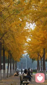 “知止而后有定，定而后能靜，靜而后能安”，在這個滿是促銷消息的日子里分享這句話給你，祝愿你的十一月心地寧靜，一切選擇都可以由心而發(fā)。配圖