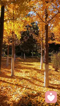 神圣的傾聽——去傾聽生命中另一個人的靈魂故事，去聽他向你展露自己，去發現背后的故事，這可能是一個人能對另一個人所做出的最偉大的付出了。——道格拉斯·史地爾配圖