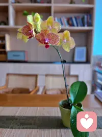 被封，閉關修煉的好日子。“要在所有不可預測的日子里，都有內心的力量可依。”這句話落到實處，就是能夠感受到生活每一幀的歡喜。生活的每一幀，都是我內心力量感的來源。配圖