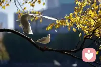 在珍視他們的人面前，每個人都感覺安全、放松。配圖