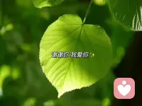 铅华不可弃，再难也不要放弃自己。这个世界没有一个人爱你，也要爱自己。生命最荒芜的时候也不要放弃让自己美好起来！危机就是转机，在困境中也能活得漂亮。配图