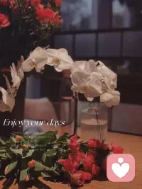 喜欢《皮囊》里这一段话：我期许自己要活得更真实也更诚实，要更接受甚至喜欢自己身上起伏的每部分，才能更喜欢这世界。我希望自己懂得处理欣赏各种欲求，各种人性的丑陋和美妙，找到和它们相处的最好方式。无论什么时候，我们都应该把大部分的时间放在提升自己上，剩下的顺其自然，对任何人不抱有过分的期待，没有期待就一定不会失望，能得到的就当惊喜，得不到的也是常态。不要因为一个人对你的伤害和否定而否定自己的末来，真诚和善良永远都没有错，错的是你没有分清对象，所以你应该反思的是自己看人的眼光和见识，而不是自己的真诚和善良。配图