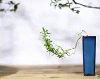時間能渡的人，都是愿意自渡的人。
?身處低谷，也會看見那從裂縫中透過的一點點陽光。。。努力感受那陽光，就算很少也會很暖。
請你一而再，再而三，三而不竭！千次萬次毫不猶豫的救自己于這世間水火！配圖