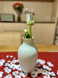 今天不談弗洛伊德，談一談善與惡。
孟子認為，人之初性本善；荀子說，人之初，性本惡；王陽明則認為，人無善也無惡。
我覺得，人既有善，也有惡，我們許多善良的人也并不是純善良的，只是有些人善念比較多，把善良作為自己生活的主流而已，而有些人，則惡念比較多，比如有些人因嫉妒生恨，進而背地里去害人，有些婆婆會為了維護兒子的利益去撒謊栽贓媳婦等等，并且會將自己合理化，全然不知自己在行惡。
惡、是可以被感化的嗎？假如我們總是去包容一個懷有惡念的人，總覺得自己可以感化他（她），但最終，善良只會讓惡加劇，為什么？因為惡在善良面前自慚形穢，在善良面前，惡會變得更惡，因為他自慚形穢，他被你逼的。高下立判，他已經沒有辦法壓制住自己那個惡的能量了。所以在巨大的善良面前，惡一定會爆發出來的。當我們發現身邊有人是有惡念的，是惡意的，請你離開他！我們不需要包容他，不需要以善面對他，也不需要對抗，對抗的時候，很有可能你的惡念冒出來，沒有意義！遠離他就好了。而當我們面對一個人是有善良的，我們應該用更大的善良去包容他，因為善和善之間可以產生正向循環的作用，而善和惡之間，只會讓這個惡撲上來，甚至激發出我們的惡，把你這個善良給吃掉。
所以我一直堅信一些事情，就是我們選擇善良，選擇和善良的人為伍。而當你選擇了善良，卻與惡人為伍，那你內心一定會受到很大的痛苦，一定會被欺騙、出賣，被吞噬。這就像是一只羊和狼群為伍，這只羊一定會成為狼的食物，羊和羊群為伍，狼和狼群為伍，到最后，是羊更多還是狼更多呢？
究竟是善良的生活更舒服，還是惡的生活更舒服呢？我們各有各的觀點，但是，我肯定選擇與善良為伍。配圖