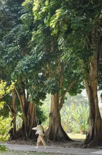 我永遠都沒有長大，但我永遠都沒有停止生長。
——科幻作家阿瑟克拉克配圖