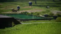 春在，樹在，山在，大地在，歲月在，我在。
大自然帶給我們的生生不息的力量，也去感知內心在動蕩里不斷生發那份穩定。
用看見、承認、允許賦能我們的生活。
嗯，生活繼續，我們都在。配圖