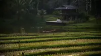 春在，樹在，山在，大地在，歲月在，我在。
大自然帶給我們的生生不息的力量，也去感知內心在動蕩里不斷生發那份穩定。
用看見、承認、允許賦能我們的生活。
嗯，生活繼續，我們都在。配圖
