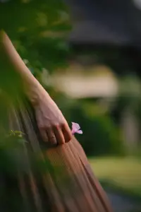 春在，樹在，山在，大地在，歲月在，我在。
大自然帶給我們的生生不息的力量，也去感知內心在動蕩里不斷生發那份穩定。
用看見、承認、允許賦能我們的生活。
嗯，生活繼續，我們都在。配圖