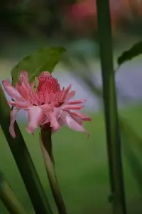 春在，樹在，山在，大地在，歲月在，我在。
大自然帶給我們的生生不息的力量，也去感知內心在動蕩里不斷生發那份穩定。
用看見、承認、允許賦能我們的生活。
嗯，生活繼續，我們都在。配圖