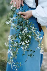 愛情濾鏡原理：
      “我愛的是我自己虛構(gòu)出來的一個人，一個就像枚荔一樣沒有生命的人。我做了身漂亮的衣服，然后就愛上了它。當(dāng)阿西禮騎著馬過來時，他是那么英俊，那么與眾不同，我就給他硬套上了那身衣服，也不管是不是合身。于是
我就看不見他真正的模樣。其實(shí)我一直愛的是那身衣服，壓根兒不是他這個人。”
——瑪格麗特《飄》配圖