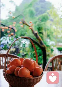 “愛?的人?能力”要?立建?在優先?自對?己的?解了?和認同之上，再?融去?合；所?的有?行為?是都?有創?推傷?動的
找?自到?己的?傷創?來源，叫停，避免“強?性迫?重復”配圖