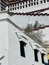 大腦是簡單的，世界是復(fù)雜的，我們的大腦往往把復(fù)雜的世界想象的簡單。從來沒有完美的人生，只有完整的人生。讓我們把分裂出去的那一部分靈魂迎接回來吧！配圖