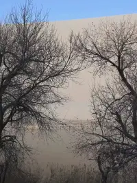 克?焦服?慮，就?句一?話：焦慮不?要需?克服，它的存在是提醒你，你?了有?更好?追的?求而已。配圖