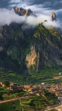陪伴是保持靜止，
而非急著向前行；
是發現沉默的奧妙，
而非用語言填滿每一個痛苦的片刻；
是用心傾聽，
而非用腦分析；
是見證他人的掙扎歷程，
而非指導他們脫離掙扎;
是出席他人的痛苦，
而非加強秩序與邏輯；
是與另一個人一起進入心靈深處探險，
而非肩負走出幽谷的責任。
——《陪伴》愛倫·沃福特配圖