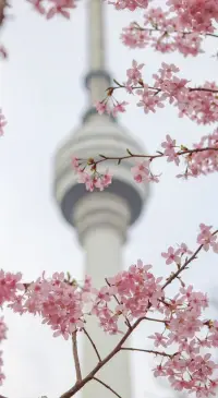 什么是愛自己？
過去讓你后悔的選擇，是你當時能做出的最好的選擇。永遠不要欺負過去的自己。接納完整而真實的自己。配圖