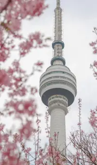 什么是愛自己？
過去讓你后悔的選擇，是你當時能做出的最好的選擇。永遠不要欺負過去的自己。接納完整而真實的自己。配圖