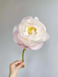 當過去不能成為過去，它會留在原地用一輩子的時間吶喊，只為我們此生的一個回頭看見；
當我們看見那過往的傷痛時，也要看見自己身上的點點光芒配圖