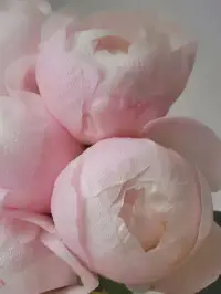 當過去不能成為過去，它會留在原地用一輩子的時間吶喊，只為我們此生的一個回頭看見；
當我們看見那過往的傷痛時，也要看見自己身上的點點光芒配圖
