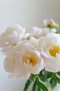 當過去不能成為過去，它會留在原地用一輩子的時間吶喊，只為我們此生的一個回頭看見；
當我們看見那過往的傷痛時，也要看見自己身上的點點光芒配圖