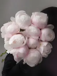 當過去不能成為過去，它會留在原地用一輩子的時間吶喊，只為我們此生的一個回頭看見；
當我們看見那過往的傷痛時，也要看見自己身上的點點光芒配圖