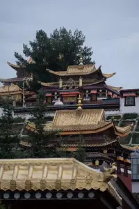 愛自己，不是只有自己，還要和愛的人和事建立深度關系。
最好的狀態是：一邊愛自己，一邊愛世界。配圖