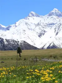 在繁華的世界中，我們常常迷失自我，
被各種角色和期望所束縛，無法自由。
愿你活在當下，觸摸真實的自己，
不為他人的眼光，只為內心的渴望而活。配圖