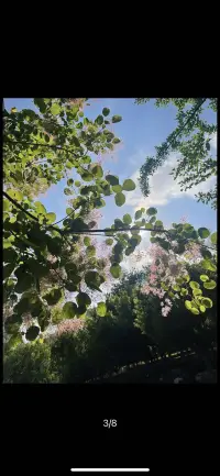 蕓蕓眾生，感謝有你配圖