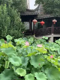 我必須有所熱愛，才能激活內在的生命力。配圖