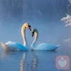 云水禅心(倾听师)