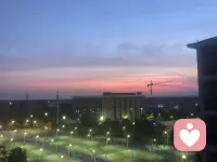 山鳥與魚不同路，從此山水不相逢配圖