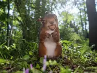 育兒，最主要的，就是兩個原則1.用孩子的眼睛看世界2.父母言必信，行必果配圖
